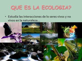 QUE ES LA ECOLOGIA?
• Estudia las interacciones de lo seres vivos y no
vivos en la naturaleza…

 