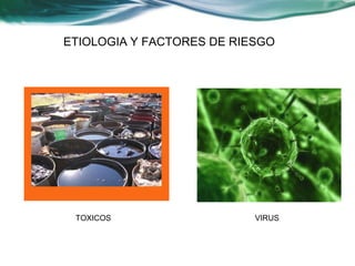 ETIOLOGIA Y FACTORES DE RIESGO




 TOXICOS                   VIRUS
 