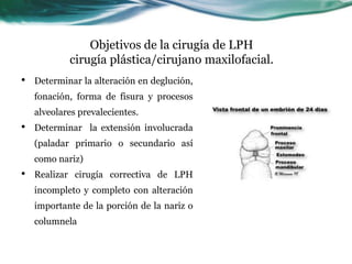 Objetivos de la cirugía de LPH
cirugía plástica/cirujano maxilofacial.
• Determinar la alteración en deglución,
fonación, forma de fisura y procesos
alveolares prevalecientes.
• Determinar la extensión involucrada
(paladar primario o secundario así
como nariz)
• Realizar cirugía correctiva de LPH
incompleto y completo con alteración
importante de la porción de la nariz o
columnela
 