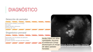 DIAGNÓSTICO
Detección de portador
Buscar fisuras labiales y úvula bífida.
Voz nasal.
Paladar hendido submucoso.
Descartar del. 22q
Diagnóstico prenatal
Ultrasonido a las 20 semanas de gestación
Difícil de detectar
Se puede visualizar secuencia de Pierre-Robin
Acido Fólico en altas
cantidades durante
el embarazo (5mg)
disminuyen el riesgo
de labio/paladar
hendido
 
