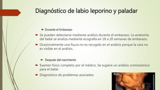 Diagnóstico de labio leporino y paladar
 Durante el Embarazo
 Se pueden detectarse mediante análisis durante el embarazo. La anatomía
del bebé se analiza mediante ecografía en 18 a 20 semanas de embarazo.
 Ocasionalmente una fisura no es recogido en el análisis porque la cara no
es visible en el análisis.
 Después del nacimiento
 Examen físico completo por el médico. Se sugiere un análisis cromosómico
para el bebé.
 Diagnóstico de problemas asociados
 