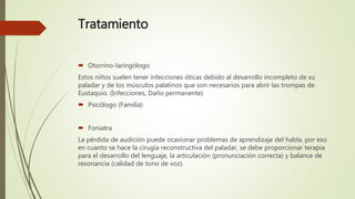 Tratamiento
 Otorrino-laringólogo
Estos niños suelen tener infecciones óticas debido al desarrollo incompleto de su
paladar y de los músculos palatinos que son necesarios para abrir las trompas de
Eustaquio. (Infecciones, Daño permanente)
 Psicólogo (Familia)
 Foniatra
La pérdida de audición puede ocasionar problemas de aprendizaje del habla, por eso
en cuanto se hace la cirugía reconstructiva del paladar, se debe proporcionar terapia
para el desarrollo del lenguaje, la articulación (pronunciación correcta) y balance de
resonancia (calidad de tono de voz).
 