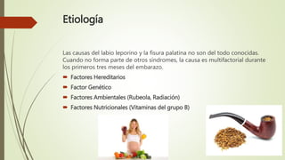 Etiología
Las causas del labio leporino y la fisura palatina no son del todo conocidas.
Cuando no forma parte de otros síndromes, la causa es multifactorial durante
los primeros tres meses del embarazo.
 Factores Hereditarios
 Factor Genético
 Factores Ambientales (Rubeola, Radiación)
 Factores Nutricionales (Vitaminas del grupo B)
 
