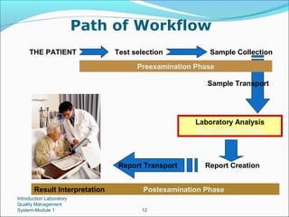 Path of Workflow
THE PATIENT

Test selection

Sample Collection

Preexamination Phase
Sample Transport

Laboratory Analysis
Examination Phase

Report Transport
Result Interpretation
Introduction Laboratory
Quality Management
System-Module 1

Report Creation

Postexamination Phase
12

 