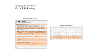 Configuring the RIP Protocol
Verify RIP Routing
 