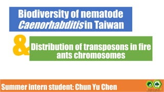 Biodiversity of nematode
Caenorhabditis in Taiwan
Distribution of transposons in fire
ants chromosomes&
Summer intern student: Chun Yu Chen
 