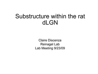 Substructure within the rat dLGN Claire Discenza Reinagel Lab Lab Meeting 9/23/09 