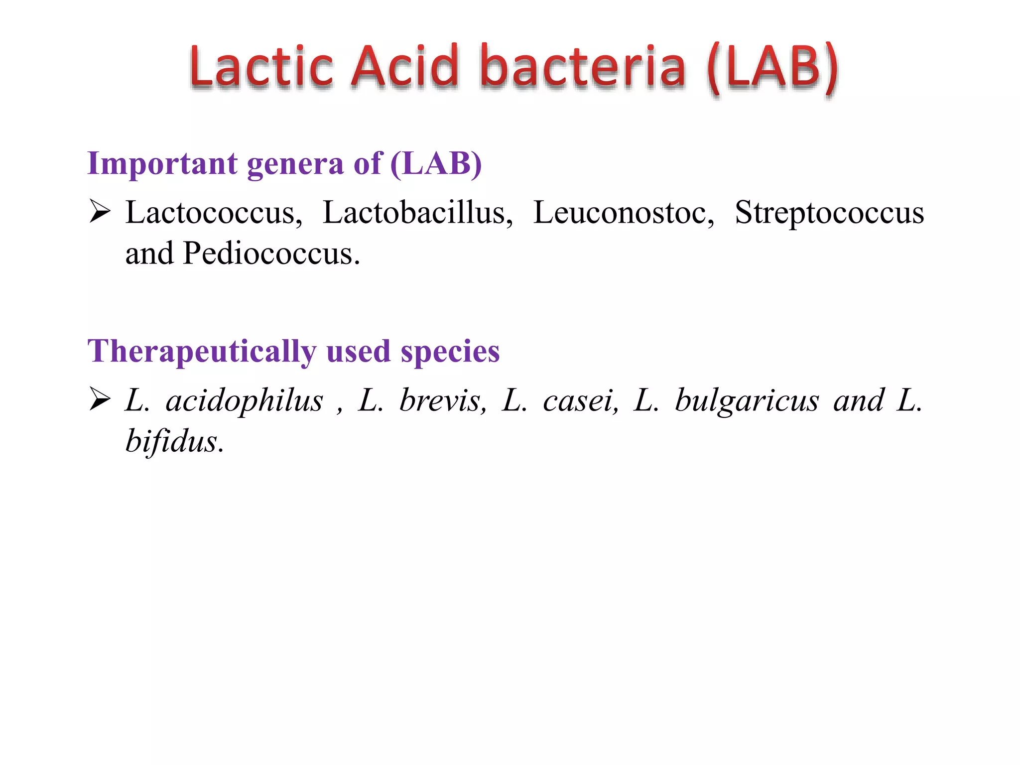 Lactic Acid Bacteria PPT