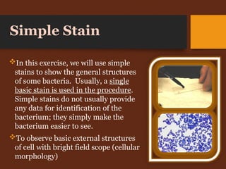 Simple Stain
In this exercise, we will use simple
stains to show the general structures
of some bacteria. Usually, a single
basic stain is used in the procedure.
Simple stains do not usually provide
any data for identification of the
bacterium; they simply make the
bacterium easier to see.
To observe basic external structures
of cell with bright field scope (cellular
morphology)
 