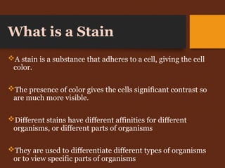 What is a Stain
A stain is a substance that adheres to a cell, giving the cell
color.
The presence of color gives the cells significant contrast so
are much more visible.
Different stains have different affinities for different
organisms, or different parts of organisms
They are used to differentiate different types of organisms
or to view specific parts of organisms
 