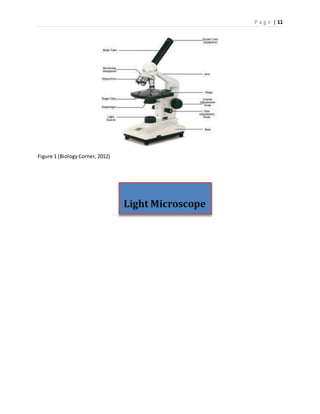 P a g e | 11
Figure 1 (BiologyCorner,2012)
Light Microscope
 