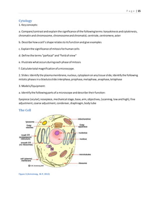 P a g e | 15
Cytology
1. Keyconcepts:
a. Compare/contrastandexplainthe significance of the followingterms:karyokinesisandcytokinesis,
chromatinand chromosome,chromosomeandchromatid, centriole,centromere,aster
b. Describe howacell’sshape relatestoitsfunctionandgive examples
c. Explainthe significance of mitosisforhumancells
d. Define the terms“parfocal”and“fieldof view”
e.Illustrate whatoccursduringeach phase of mitosis
f.Calculate total magnificationof amicroscope.
2. Slides:Identifythe plasmamembrane,nucleus,cytoplasmonanytissue slide, Identifythe following
mitoticphasesina blastulaslide:interphase,prophase,metaphase,anaphase,telophase
3. Models/Equipment:
a. Identifythe followingpartsof a microscope anddescribe theirfunction:
Eyepiece (ocular),nosepiece,mechanical stage,base,arm, objectives, (scanning,low andhigh),fine
adjustment,coarse adjustment,condenser, diaphragm, bodytube
The Cell
Figure 3 (Armstrong, W.P, 2012)
 