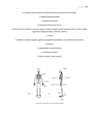 P a g e | 27
d. Compare and contrast the anatomical planes and sections of the body.
2. Models/Diagrams/Slides
a. Anatomical Position
b. Anatomical Directional Terms
a. Dorsal,ventral,posterior,anterior,superior,inferior,medial,lateral, proximal, distal, cranial, caudal,
superficial, deep/profundus, external, internal
c. Planes
b. Median or median sagittal, sagittal, parasagittal/paramedian, coronal/frontal, horizontal
d. Sections
c. Longitudinal, transverse/cross
e. Anatomical Cavities
d. Dorsal, spinal, cranial, ventral
Anatomical Directional Terms (Micheau 2009)
 