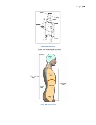 P a g e | 28
Planes (Abcfromfl.2010)
Cavities (MSU Denver 2012)
 