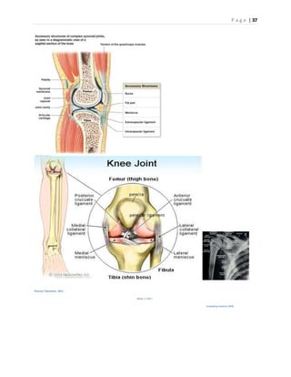 P a g e | 37
Pearson Education, 2011
Driver, C 2011
(unpacking mystery, 2010)
 