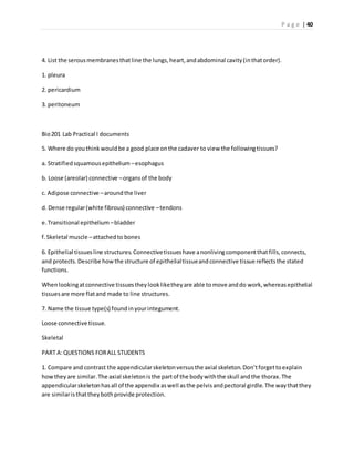 P a g e | 40
4. List the serousmembranesthatline the lungs,heart,andabdominal cavity(inthatorder).
1. pleura
2. pericardium
3. peritoneum
Bio201 Lab Practical I documents
5. Where do youthinkwouldbe a good place onthe cadaver to view the followingtissues?
a. Stratifiedsquamousepithelium –esophagus
b. Loose (areolar) connective –organsof the body
c. Adipose connective –aroundthe liver
d. Dense regular(white fibrous) connective –tendons
e.Transitional epithelium –bladder
f.Skeletal muscle –attachedto bones
6. Epithelial tissuesline structures.Connectivetissueshave anonlivingcomponentthatfills,connects,
and protects.Describe howthe structure of epithelialtissueandconnective tissue reflectsthe stated
functions.
Whenlookingatconnective tissuestheylookliketheyare able tomove anddo work,whereasepithelial
tissuesare more flatand made to line structures.
7. Name the tissue type(s) foundinyourintegument.
Loose connective tissue.
Skeletal
PART A:QUESTIONS FORALL STUDENTS
1. Compare and contrast the appendicularskeletonversusthe axial skeleton.Don’tforgettoexplain
howtheyare similar.The axial skeletonisthe partof the bodywiththe skull andthe thorax.The
appendicularskeletonhasall of the appendix aswell asthe pelvisandpectoral girdle.The waythatthey
are similaristhattheybothprovide protection.
 