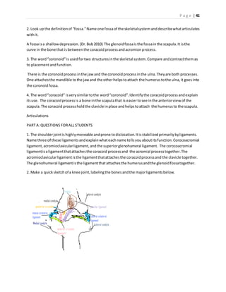 P a g e | 41
2. Look up the definitionof “fossa.”Name one fossaof the skeletalsystemanddescribewhatarticulates
withit.
A fossaisa shallowdepression.(Dr.Bob2010) The glenoidfossaisthe fossainthe scapula.It isthe
curve in the bone that isbetweenthe coracoidprocessandacromionprocess.
3. The word“coronoid”is usedfortwo structuresinthe skeletal system.Compare andcontrastthemas
to placementandfunction.
There is the coronoidprocessinthe jawand the coronoidprocessinthe ulna.Theyare both processes.
One attaches the mandible tothe jawand the otherhelpstoattach the humerustothe ulna,it goesinto
the coronoidfossa.
4. The word“coracoid” isverysimilartothe word“coronoid”.Identifythe coracoidprocessandexplain
itsuse. The coracoidprocessis a bone inthe scapulathat is easiertosee inthe anteriorview of the
scapula.The coracoid processholdthe clavicle inplace andhelpstoattach the humerusto the scapula.
Articulations
PART A:QUESTIONS FORALL STUDENTS
1. The shoulderjointishighlymoveable andprone todislocation.Itisstabilizedprimarilybyligaments.
Name three of these ligamentsandexplainwhateachname tellsyouaboutitsfunction.Corocoacromial
ligament,acromioclavicularligament,andthe superiorglenohumeral ligament. The corocoacromial
ligamentisaligamentthatattachesthe coracoid processand the acromial processtogether.The
acromioclavicularligamentisthe ligamentthatattachesthe coracoidprocessand the clavicle together.
The glenohumeral ligamentisthe ligamentthatattachesthe humerusandthe glenoidfossatogether.
2. Make a quicksketchof a knee joint,labelingthe bonesandthe majorligamentsbelow.
 