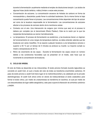 durante la fermentación usualmente mediante el empleo de disoluciones tampón. Los ácidos de
       algunas frutas (ácido tartárico, málico) limitan a veces este proceso.
       Concentración de azúcares. La concentración excesiva de hidratos de carbono en forma de
       monosacáridos y disacáridos puede frenar la actividad bacteriana. De la misma forma la baja
       concentración puede frenar el proceso. Las concentraciones límite dependen del tipo de azúcar
       así como de la levadura responsable de la fermentación. Las concentraciones de azúcares
       afectan a los procesos de osmosis dentro de la membrana celular.
       Contacto con el aire. Una intervención de oxígeno (por mínima que sea) en el proceso lo
       detiene por completo (es el denominado Efecto Pasteur). Esta es la razón por la que los
       recipientes fermentadores se cierren herméticamente.
       La temperatura. El proceso de fermentación es exotérmico, y las levaduras tienen un régimen
       de funcionamiento en unos rangos de temperatura óptimos, se debe entender además que las
       levaduras son seres mesófilos. Si se expone cualquier levadura a una temperatura cercana o
       superior a 55 °C por un tiempo de 5 minutos se produce su muerte. La mayoría cumple su
       misión a temperaturas de 30 °C.
       Ritmo de crecimiento de las cepas - Durante la fermentación las cepas crecen en número
       debido a las condiciones favorables que se presentan en el medio, esto hace que se
       incremente la concentración de levaduras.


   E. CICLO DE KREBS.

El ciclo de Krebs se desarrolla en las mitocondrias. El ácido pirúvico formado durante laglucólisis se
convierte en acetil CoA, el cual a través del ciclo de krebs se transforma enanhídrido carbónico. El
paso de ácido pirúvico a acetil CoA tiene lugar en la matrizmitocondrial y es catalizado por la piruvato
deshidrogenasa. El acetil CoA ahora entra en elciclo de krebsuniéndose al ácido oxalacético para
formar el ácido cítrico, por medio de unaisomerasa se transforma en isocítrico, el cual por medio de
una descarboxilasa da lugar alalfa-cetoglutárico, este paso supone la liberación de anhídrido carbónico
y NADH.




                                                                                                                                10




    Laboratorio 3: Capacidad Fermentativa-Levadura Saccharomyces cerevisae e| Biotecnología de los Productos Agroindustriales
 