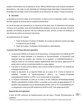 producir la fermentación fue ya expuesta en el año 1858 por MoritzTraube como la teoría enzimática o
fermentativa y, más tarde, ha sido defendida por FelixHoppe-Seyler hasta llegar al descubrimiento de
EduardBuchner que llegó a hacer la fermentación sin la intervención de células y hongos de levadura.

   D. Glucolisis

La glucólisis es la primera etapa de la fermentación, lo mismo que en la respiración celular, y al igual
que ésta necesita de enzimas para su completo funcionamiento

Es una de las rutas más importante por su frecuencia en los seres vivos. El metabolismo de la glucosa
comienza con la glucólisis, (ciclo de EmbdenMeyerhof) acoplada a la ruta de las pentosas. Durante la
glucólisis una molécula de glucosa rinde dos moléculas de ácido pirúvico, es decir una molécula de
seis átomos de carbono se escinde en dos de tres.

Se puede estructurar en 2 etapas:

            1. Pasar de Glucosa a Fructosa-1,6-difosfato. Es una fase de alteración química para dejar
                 la molécula útil para la célula.
            2. Pasar de Fructosa-1,6-difosfato a dihidroxiacetona y gliceraldehido.

La primera fase Primera fase de la glucólisis

   1. La glucosa se fosforila en el alcohol por la hexoquinasa. La hexoquinasa une el fosfato del ATP
       mediante un enlace fosfoéster y la transforma en Glucosa-6-fosfato. La Glucosa-6-P está
       preparada para los procesos que continúan en la glucólisis. La fosforilacióntransforma 1
       molécula neutra en una molécula cargada negativamente. Hace que ahora, laglucosa-6-P no
       pueda volver a salir por la membrana debido a su carga negativa.
   2. A la célula no le gusta la forma aldosa y hace la forma cetosa (Fructosa-6-P). Es realizado por
       la fosfoglucosaisomerasa.
   3. Implica la adquisición de un segundo fosfato que va a parar al C1 y forma la fructosa-1,6-
       bisfosfato.       Lorealiza       la     fosfofructoquinasa-1           (PFK-1).       La      fructosa-1,6-bisfosfato
       escompletamente simétrica. La PFK-1 es un enzima clave en la glucólisis.
   4. La fructosa-1,6-bisfosfato se parte por la mitad y da dos moléculas (dihidroxiacetonafosfato
       (DHAP) y gliceraldehido-3-fosfato (G3P)). La glucólisis se da a partir del gliceraldehido-3-P. El
       equilibrio está desplazado hacia la dihidroxiacetona-fosfato. Sólo un 5% es Gliceraldehido-3-P.
       La desaparición continua de G3P transforma la DHAP en G3P. Todo acaba siendo G3P.

                                                                                                                                7
   Segunda fase de la glucólisis

   A partir del G3P comienzan las transformaciones que dan lugar a Piruvato (Pyr)(reacciones de
   oxidación).
    Laboratorio 3: Capacidad Fermentativa-Levadura Saccharomyces cerevisae e| Biotecnología de los Productos Agroindustriales
 