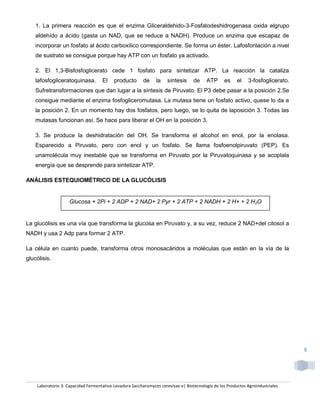 1. La primera reacción es que el enzima Gliceraldehido-3-Fosfatodeshidrogenasa oxida elgrupo
    aldehído a ácido (gasta un NAD, que se reduce a NADH). Produce un enzima que escapaz de
    incorporar un fosfato al ácido carboxílico correspondiente. Se forma un éster. Lafosforilación a nivel
    de sustrato se consigue porque hay ATP con un fosfato ya activado.

    2. El 1,3-Bisfosfoglicerato cede 1 fosfato para sintetizar ATP. La reacción la cataliza
    lafosfogliceratoquinasa.        El    producto       de    la    síntesis     de     ATP      es    el    3-fosfoglicerato.
    Sufretransformaciones que dan lugar a la síntesis de Piruvato. El P3 debe pasar a la posición 2.Se
    consigue mediante el enzima fosfogliceromutasa. La mutasa tiene un fosfato activo, quese lo da a
    la posición 2. En un momento hay dos fosfatos, pero luego, se lo quita de laposición 3. Todas las
    mutasas funcionan así. Se hace para liberar el OH en la posición 3.

    3. Se produce la deshidratación del OH. Se transforma el alcohol en enol, por la enolasa.
    Esparecido a Piruvato, pero con enol y un fosfato. Se llama fosfoenolpiruvato (PEP). Es
    unamolécula muy inestable que se transforma en Piruvato por la Piruvatoquinasa y se acoplala
    energía que se desprende para sintetizar ATP.

ANÁLISIS ESTEQUIOMÉTRICO DE LA GLUCÓLISIS


                    Glucosa + 2Pi + 2 ADP + 2 NAD+ 2 Pyr + 2 ATP + 2 NADH + 2 H+ + 2 H2O


La glucólisis es una vía que transforma la glucosa en Piruvato y, a su vez, reduce 2 NAD+del citosol a
NADH y usa 2 Adp para formar 2 ATP.

La célula en cuanto puede, transforma otros monosacáridos a moléculas que están en la vía de la
glucólisis.




                                                                                                                                  8




    Laboratorio 3: Capacidad Fermentativa-Levadura Saccharomyces cerevisae e| Biotecnología de los Productos Agroindustriales
 