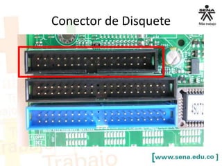 Conector de Disquete

 