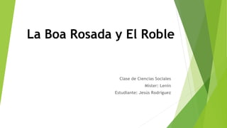 La Boa Rosada y El Roble
Clase de Ciencias Sociales
Míster: Lenin
Estudiante: Jesús Rodríguez
 