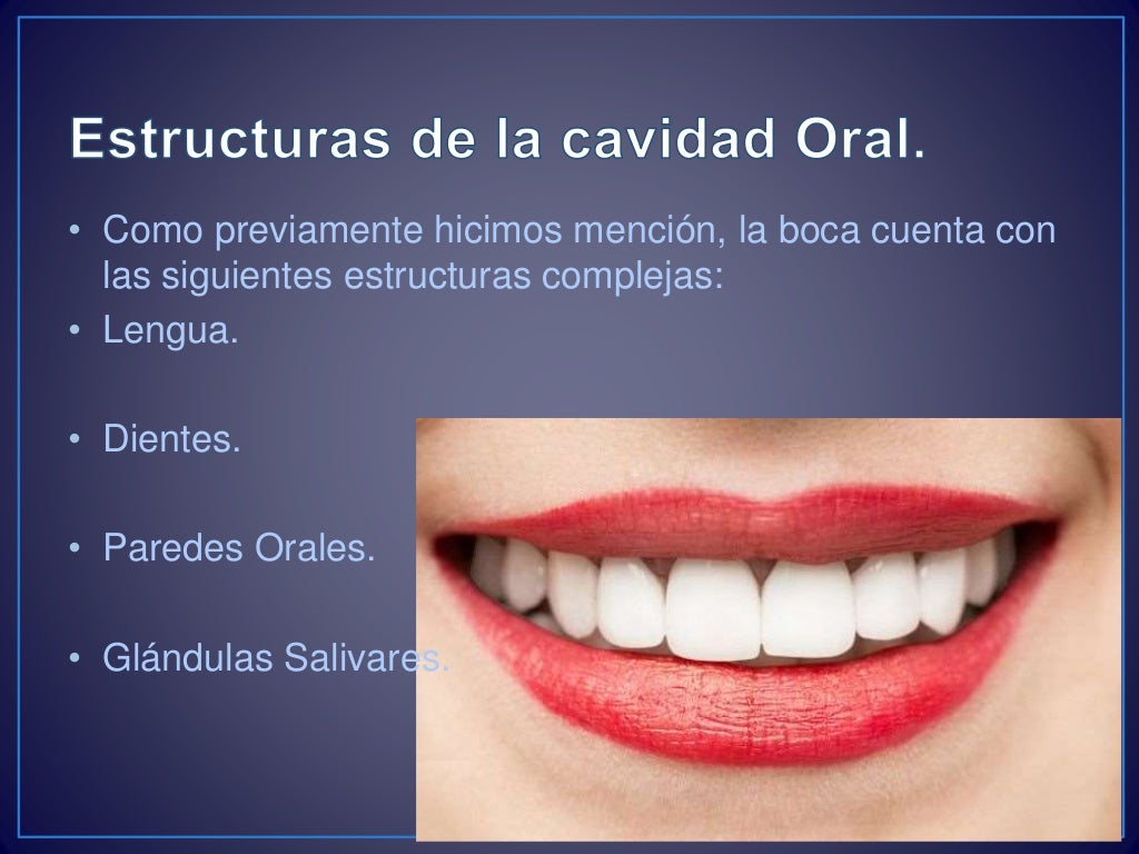 La boca "anatomía y fisiología"