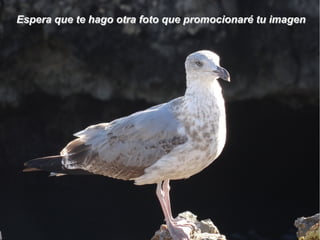 Espera que te hago otra foto que promocionaré tu imagenEspera que te hago otra foto que promocionaré tu imagen
 