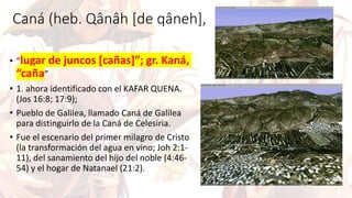 Caná (heb. Qânâh [de qâneh],
• “lugar de juncos [cañas]”; gr. Kaná,
“caña”
• 1. ahora identificado con el KAFAR QUENA.
(Jos 16:8; 17:9);
• Pueblo de Galilea, llamado Caná de Galilea
para distinguirlo de la Caná de Celesiria.
• Fue el escenario del primer milagro de Cristo
(la transformación del agua en vino; Joh 2:1-
11), del sanamiento del hijo del noble (4:46-
54) y el hogar de Natanael (21:2).
 