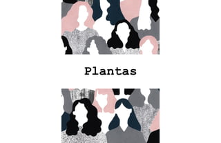 Plantas
 
