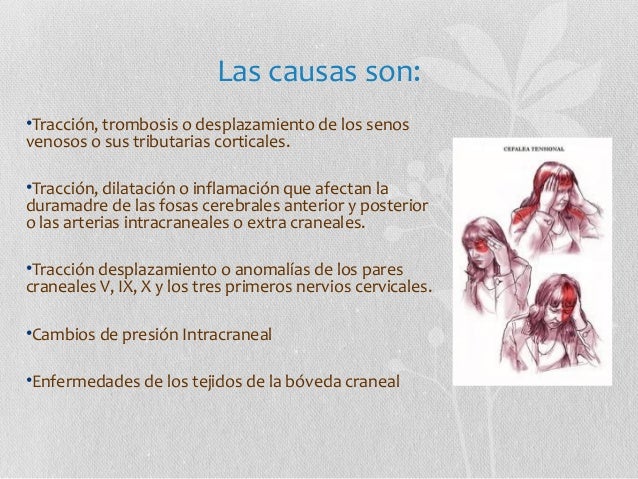 Labo Ii Exposicion Cefalea Pujo Y Tenesmo Labo Ii Exposicion Cefalea Pujo Y Tenesmo