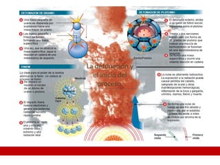 La detonación y
el inicio del
proceso.
 