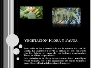VEGETACIÓN FLORA Y FAUNA
Este valle se ha desarrollado en la cuenca del río del
Chota. La vegetación verde a orillas del río contrasta
con los áridos terrenos de las laderas erosionadas.
Tiene un clima tropical seco.
Las variedades en flora encontramos: Tuna, eucalipto,
frejol, tomate, etc. Y los ejemplares de fauna tenemos:
lagartijas, colibrí, mirlo, guiragchuro, etc.
 