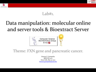 Lab#1.

Data manipulation: molecular online
and server tools & Bioextract Server


   Theme: FXN gene and pancreatic cancer.
                     Etienne Z. Gnimpieba
                         BRIN WS 2012
                    Sioux Falls, May 30 2012
                 Etienne.gnimpieba@usd.edu
 