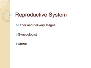 Reproductive System ,[object Object]