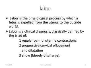 Labor | PPTX