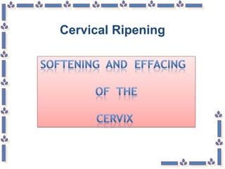 Cervical Ripening
 