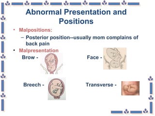 Abnormal Presentation and
Positions
• Malpositions:
– Posterior position--usually mom complains of
back pain
• Malpresentation
Brow - Face -
Breech - Transverse -
 