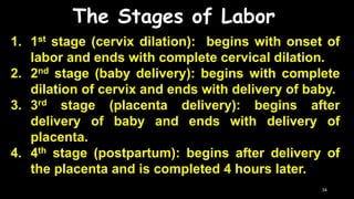 The Stages of Labor
1. 1st stage (cervix dilation): begins with onset of
labor and ends with complete cervical dilation.
2. 2nd stage (baby delivery): begins with complete
dilation of cervix and ends with delivery of baby.
3. 3rd stage (placenta delivery): begins after
delivery of baby and ends with delivery of
placenta.
4. 4th stage (postpartum): begins after delivery of
the placenta and is completed 4 hours later.
34
 