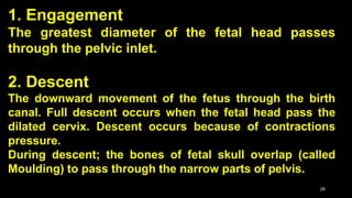 1. Engagement
The greatest diameter of the fetal head passes
through the pelvic inlet.
2. Descent
The downward movement of the fetus through the birth
canal. Full descent occurs when the fetal head pass the
dilated cervix. Descent occurs because of contractions
pressure.
During descent; the bones of fetal skull overlap (called
Moulding) to pass through the narrow parts of pelvis.
26
 