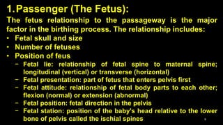 1.Passenger (The Fetus):
The fetus relationship to the passageway is the major
factor in the birthing process. The relationship includes:
• Fetal skull and size
• Number of fetuses
• Position of feus
− Fetal lie: relationship of fetal spine to maternal spine;
longitudinal (vertical) or transverse (horizontal)
− Fetal presentation: part of fetus that enters pelvis first
− Fetal attitude: relationship of fetal body parts to each other;
flexion (normal) or extension (abnormal)
− Fetal position: fetal direction in the pelvis
− Fetal station: position of the baby's head relative to the lower
bone of pelvis called the ischial spines 9
 