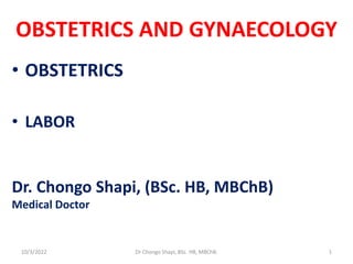 OBSTETRICS AND GYNAECOLOGY
• OBSTETRICS
• LABOR
Dr. Chongo Shapi, (BSc. HB, MBChB)
Medical Doctor
10/3/2022 1
Dr Chongo Shapi, BSc. HB, MBChB.
 