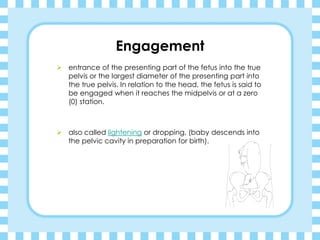 Engagement
➢ entrance of the presenting part of the fetus into the true
pelvis or the largest diameter of the presenting part into
the true pelvis. In relation to the head, the fetus is said to
be engaged when it reaches the midpelvis or at a zero
(0) station.
➢ also called lightening or dropping, (baby descends into
the pelvic cavity in preparation for birth).
 