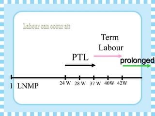 1 LNMP 24 W 28 W 37 W 40W 42W
PTL
Term
Labour
prolonged
 