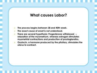 What causes Labor?
➢ The process begins between 38 and 40th week.
➢ The exact cause of onset is not understood.
➢ There are several hypothesis: Progesterone withdrawal →
relaxation of the myometrium, whereas estrogen stimulates
myometrial contractions and production of prostaglandins.
➢ Oxytocin, a hormone produced by the pituitary, stimulates the
uterus to contract.
 