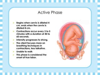 Active Phase
➢ Begins when cervix is dilated 4
cm, ends when the cervix is
dilated 8 cm.
➢ Contractions occur every 3 to 5
minutes with a duration of 40 to
60 seconds.
➢ Intensity progresses to strong.
➢ The client focuses more on
breathing techniques in
contractions, less talkative.
➢ Unable to walk
➢ This phase is considered the
onset of true labor.
 