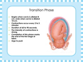 Transition Phase
➢ Begins when cervix is dilated 8
cm, ends when cervix is dilated
10 cm.
➢ Contractions occur every 2 to 3
minutes
➢ Duration of 60 to 90 seconds.
➢ The intensity of contractions is
strong.
➢ Completion of this phase marks
the end of the first stage of
labor.
➢ Urge to push
 
