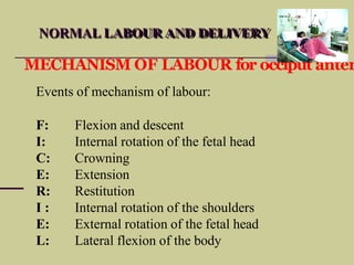 Normal physiology of labour and delivery .pptx