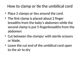 Two Fingerbreadths normal Labor in midwifery and obstetrics.pptx