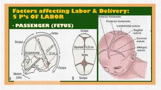 LABOR-AND-DELIVERY-2024.pdf MATERNAL AND | PDF
